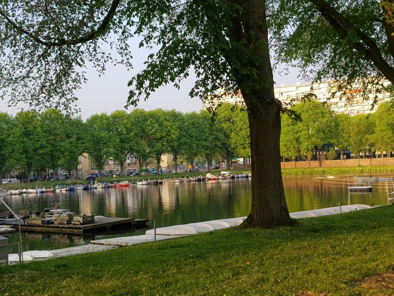 Mi Bnb Amsterdam Ngoại thất bức ảnh