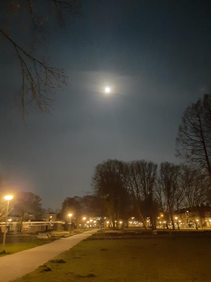 Mi Bnb Amsterdam Ngoại thất bức ảnh